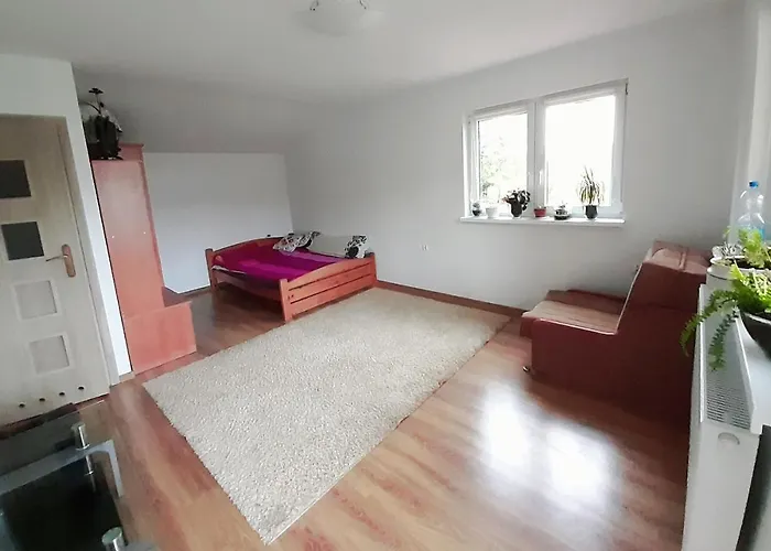 U Górala Tadzia Lodge Krynica-Zdrój